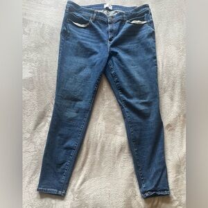 Lane Bryant Dark Blue Skinny Jeans